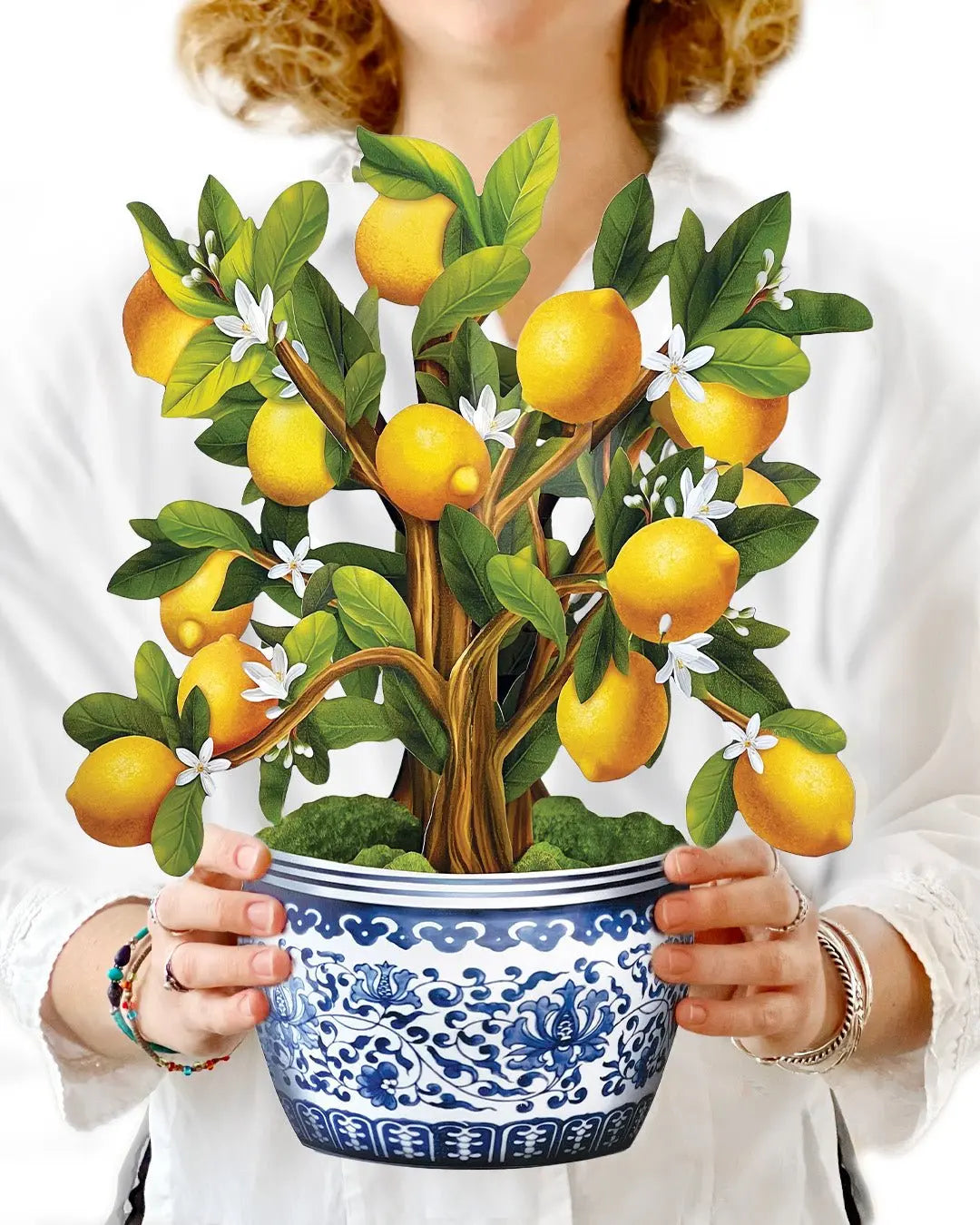 Freshcut Paper Lemon Blossom Tree - Pop Up Greeting Card