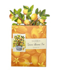 Freshcut Paper Lemon Blossom Tree - Pop Up Greeting Card