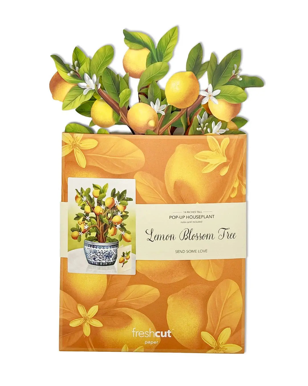 Freshcut Paper Lemon Blossom Tree- Pop Up Greeting Card