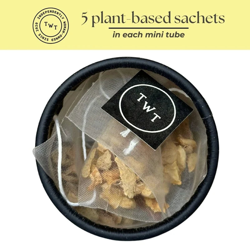 Tea with Tae - Lemon Ginger Tea Mini Tube Gift (5 tea bags)
