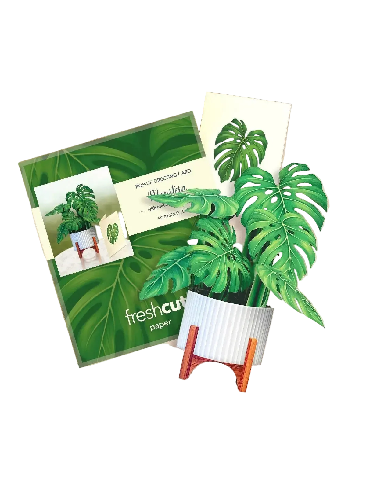 Freshcut Paper Mini Monstera - Pop Up Greeting Card