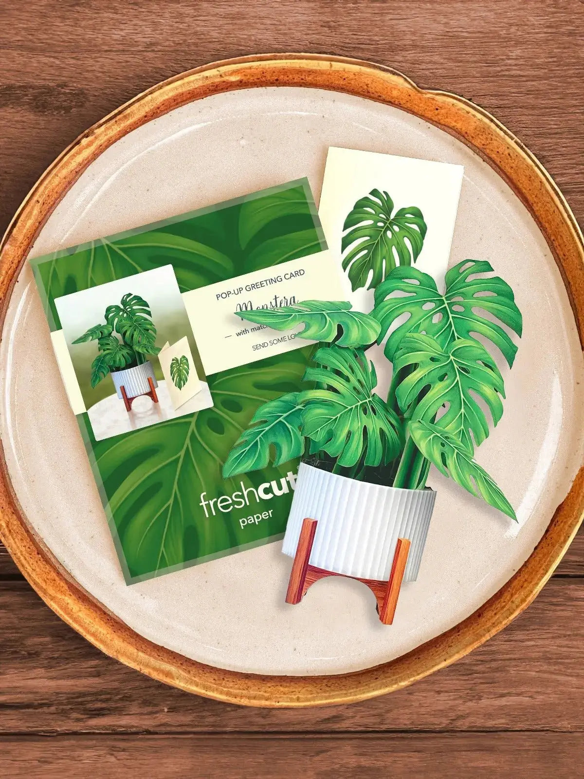 Freshcut Paper Mini Monstera - Pop Up Greeting Card