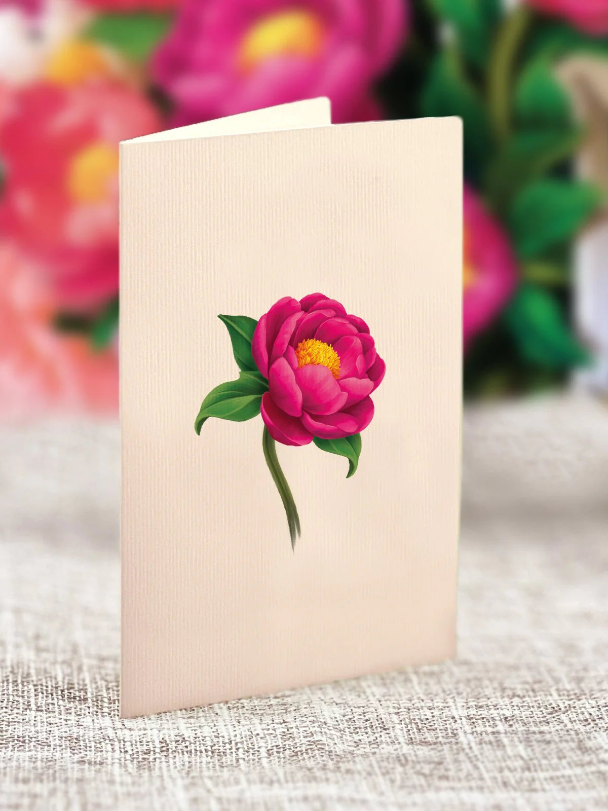 Freshcut Paper. Mini Peony Paradise Pop-Up Card