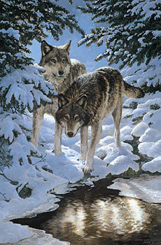 Icy Dawn Wolves. Persis Clayton Weirs