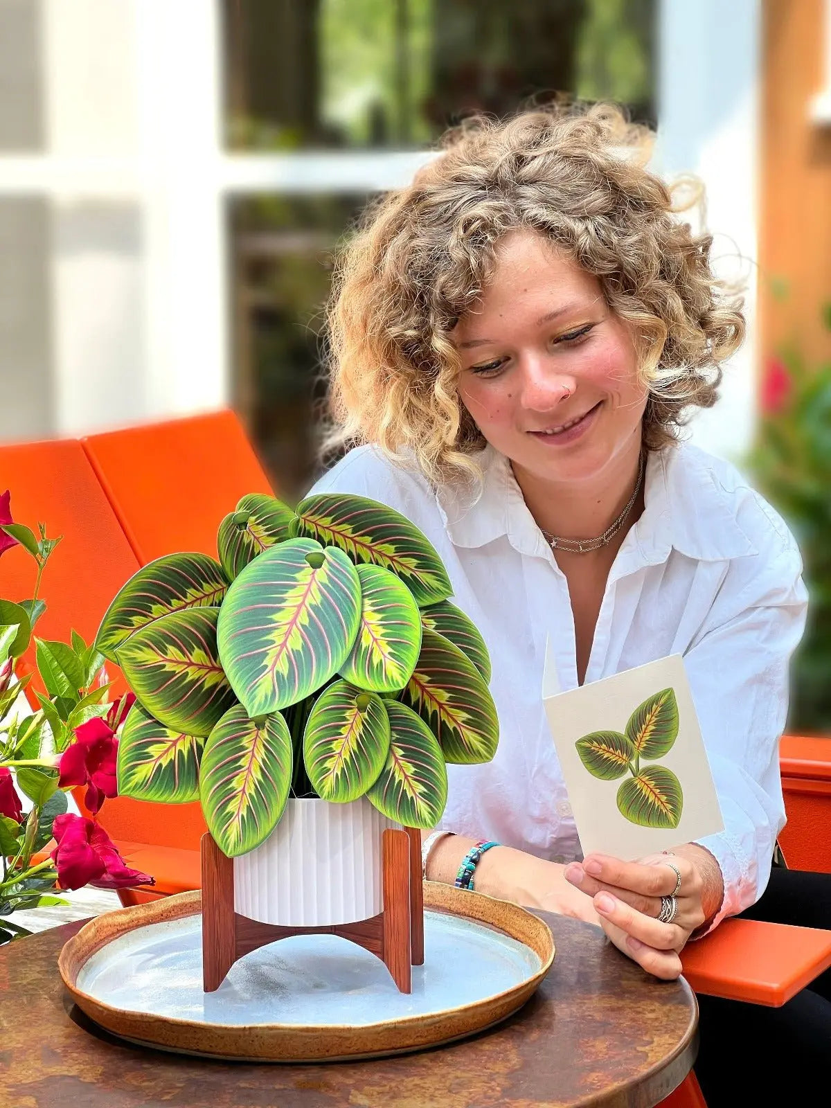 Freshcut Paper Prayer Plant - Pop Up Greeting Card