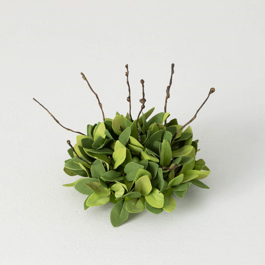 Ruscus Leafy Twig Half Orb