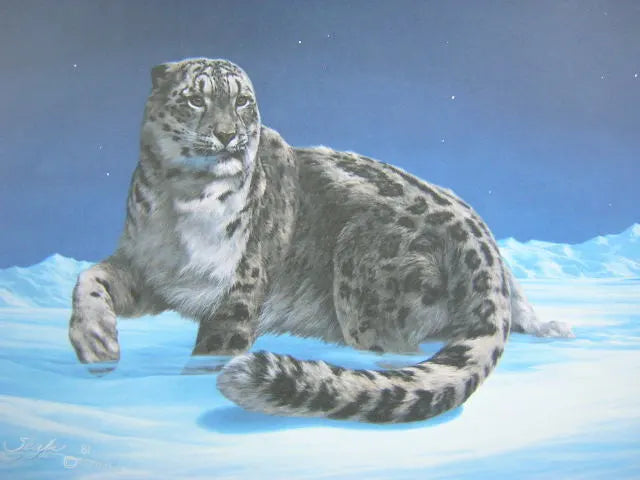 Night Quest, Peter Skirka