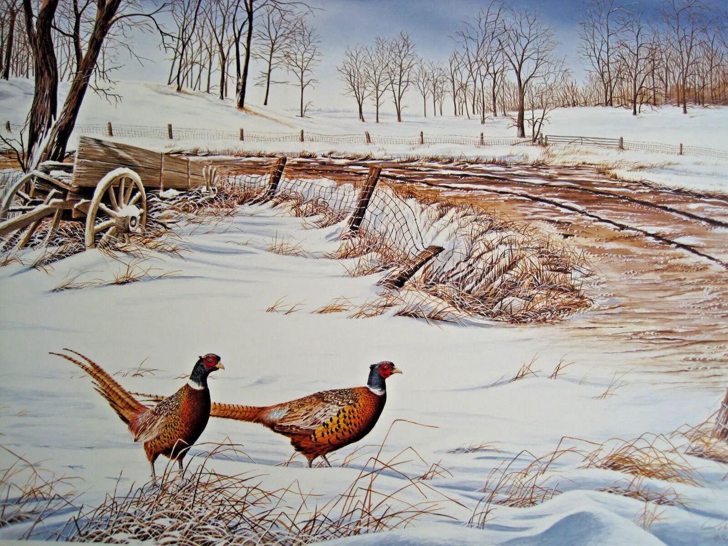 Road Visitors, Ring Neck Pheasants, Robert Sissel