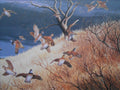 Bobwhite in Quail Habitat, Maynard Reece