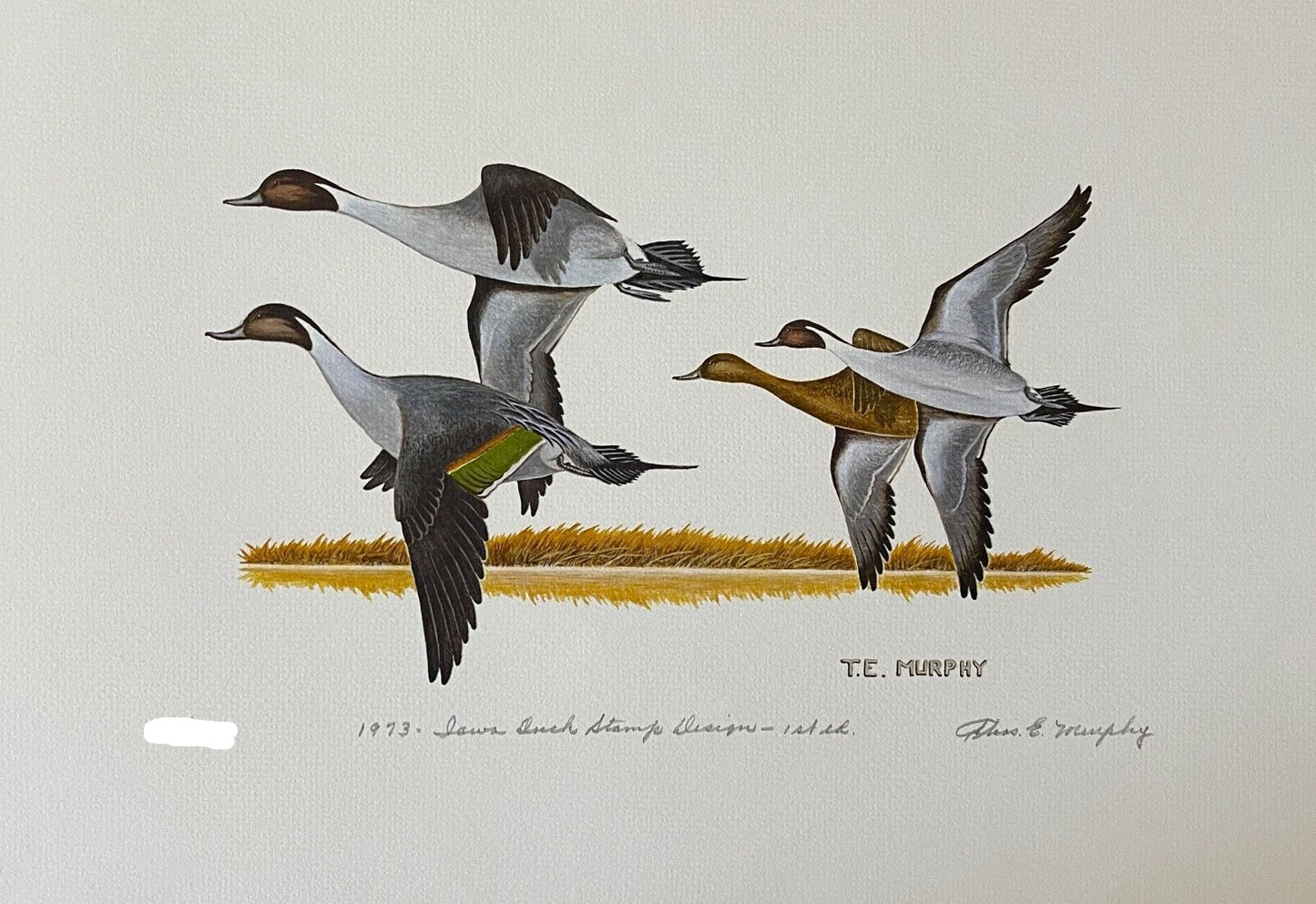 State Duck Print 1973, T.E. Murphy