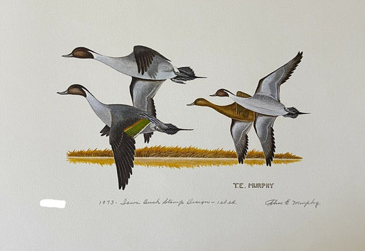 State Duck Print 1973, T.E. Murphy