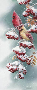 Scarlet & Snow, Susan Bourdet