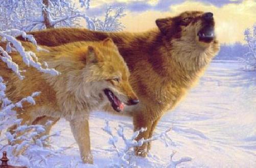 Where There's Smoke, There's Fire. Lee Kromschroeder