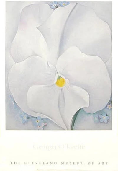 American White Pansy, Georgia O'Keeffe