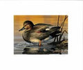 Waterfowl Stamp, Bruce Miller