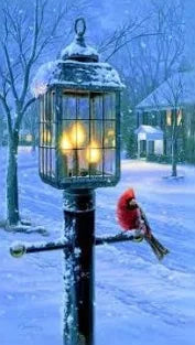 Warmth of Winter, Darrell Bush