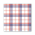 Michel Design Works - Luncheon Napkins - Paisley and Plaid
